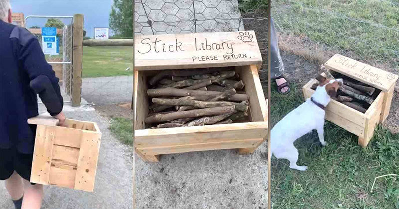 After Noticing Lack of Good Sticks At Park, Dad Turns Old Tree Branches into ‘Stick Library’ for Neighborhood Dogs