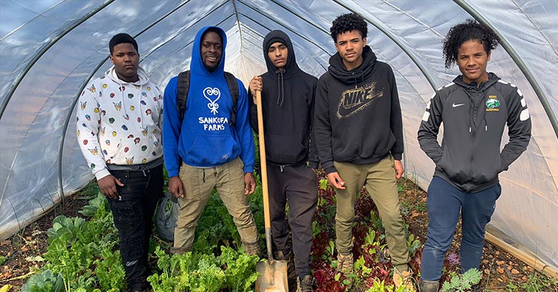 Teenagers Gain Confidence Raising Bees and Growing Crops at North Carolina Farm - Featured image