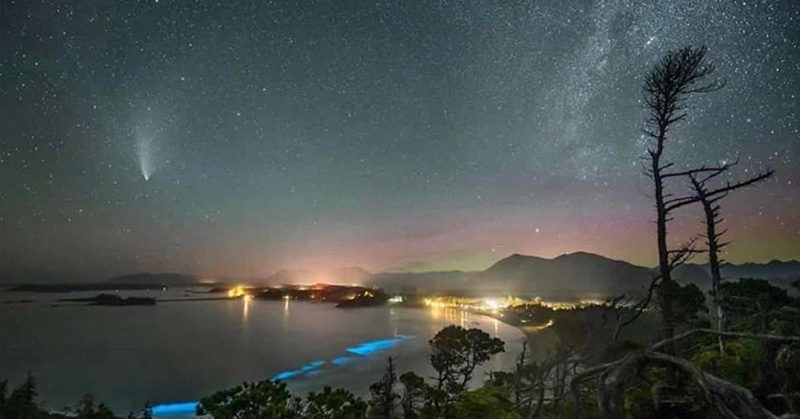 Spellbinding image captures rare comet, northern lights, Milky Way, and bioluminescence (PHOTOS)