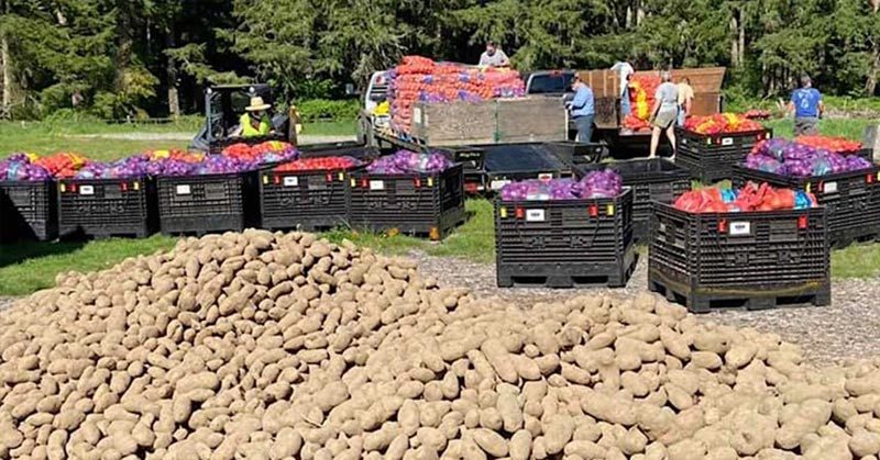 Washington Man Rescues 2.4 Million Pounds of Farmers’ Crops Going to Waste, Gets Them to Food Banks Across State