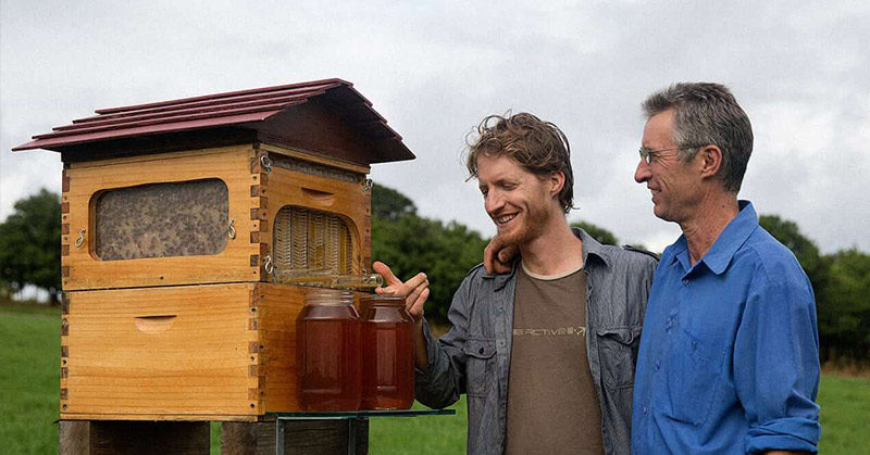 Father and Son Build 50,000 New Beehive Colonies Around the World