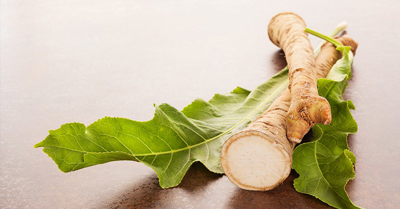 5 Health Benefits of Horseradish Root