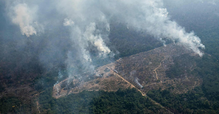 Amazon tragedy repeats itself as Brazil rainforest goes up in smoke - Featured image