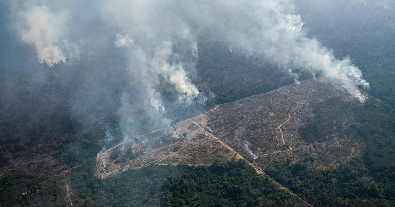 Amazon tragedy repeats itself as Brazil rainforest goes up in smoke