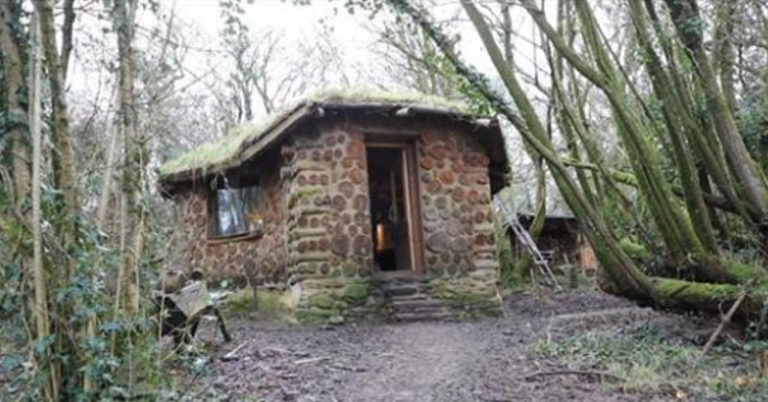 Man shows the inside of his tiny home in the woods - Featured image
