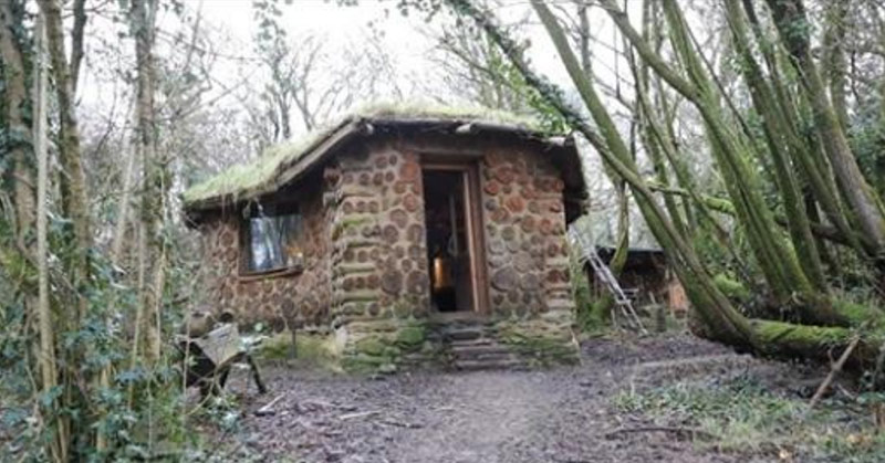 Man shows the inside of his tiny home in the woods - Featured image