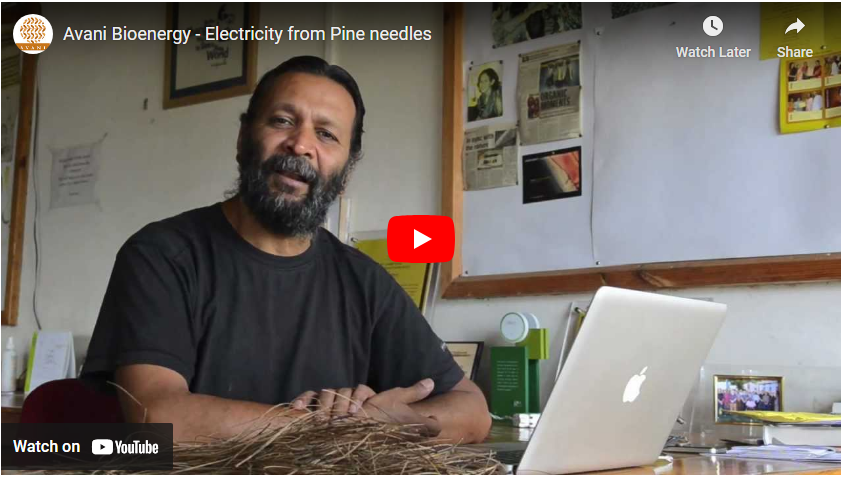electricity pine needles