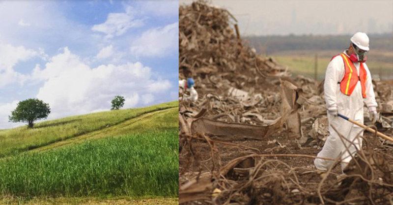 World’s Largest Garbage Dump Turned Into A Green Oasis of Native Grasses That Also Powers Homes