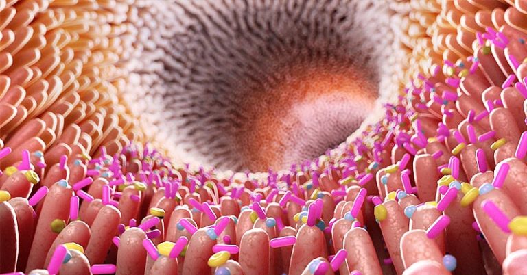 Gut Bacteria Linked to Cardiovascular, Other Health Conditions - Featured image