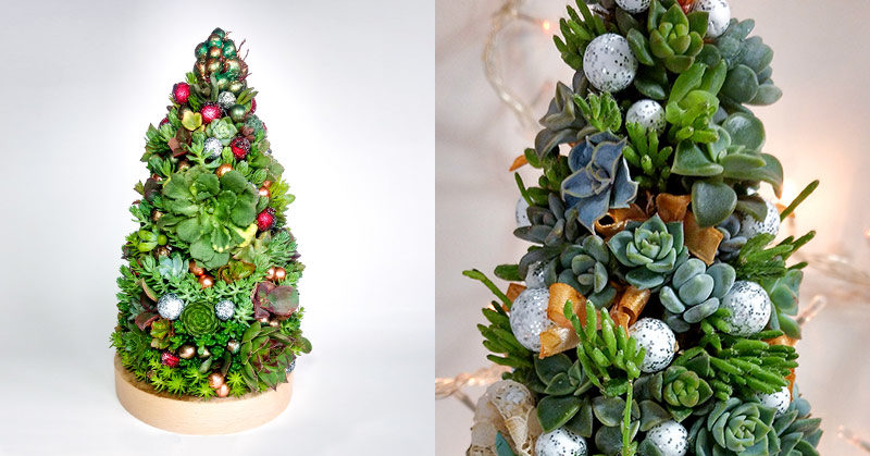 Succulent Christmas Trees Are A Gorgeous And Sustainable Alternative To Traditional Firs