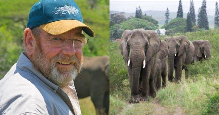 Guy Saved Elephants From Poachers, They Mourned His Death Outside His Home - Featured image