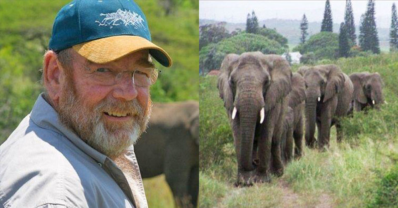 Guy Saved Elephants From Poachers, They Mourned His Death Outside His Home