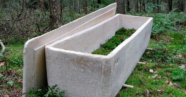 World’s first living coffin made of mushroom mycelium gives human nutrients back to nature - Featured image