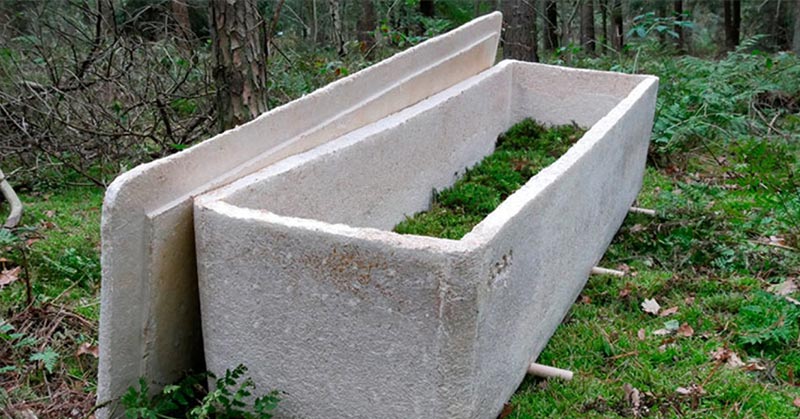 World’s first living coffin made of mushroom mycelium gives human nutrients back to nature - Featured image