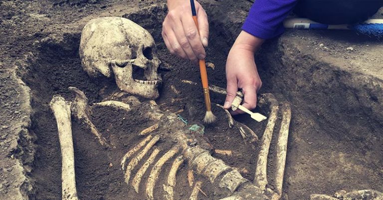 Vikings may not be who we thought they were, DNA study finds - Featured image