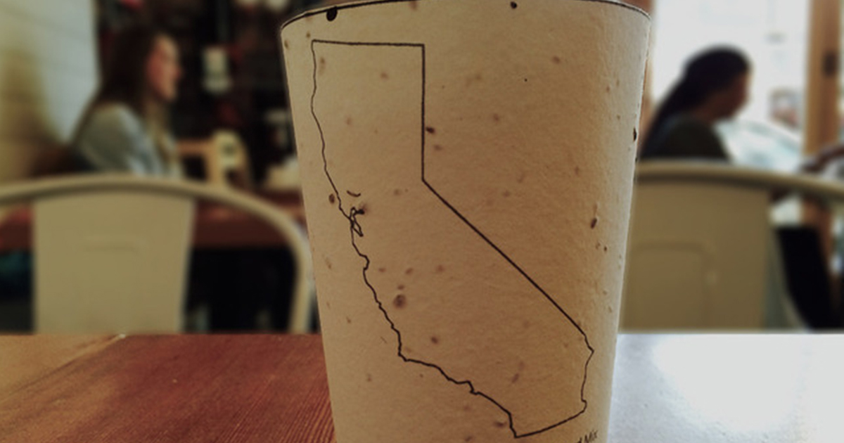 What Happened to the Biodegradable Coffee Cups That Grow Into Trees When Thrown Away?