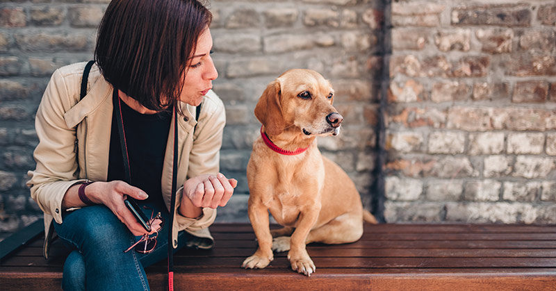 Has Research Really Found That People Who Talk To Pets Are Smarter Than Those Who Don’t?