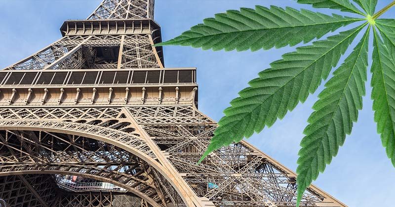 France to Start Distributing Free Medical Cannabis in 2021