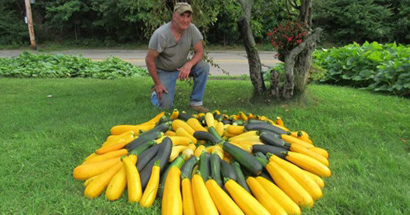 Man Turns Island Into Garden to Grow 7,000 pounds of Food for the Homeless