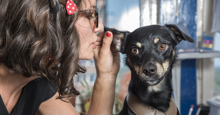 Study Finds That a Dog’s Heart Rate Jumps When You Say “I Love You” To Them - Featured image