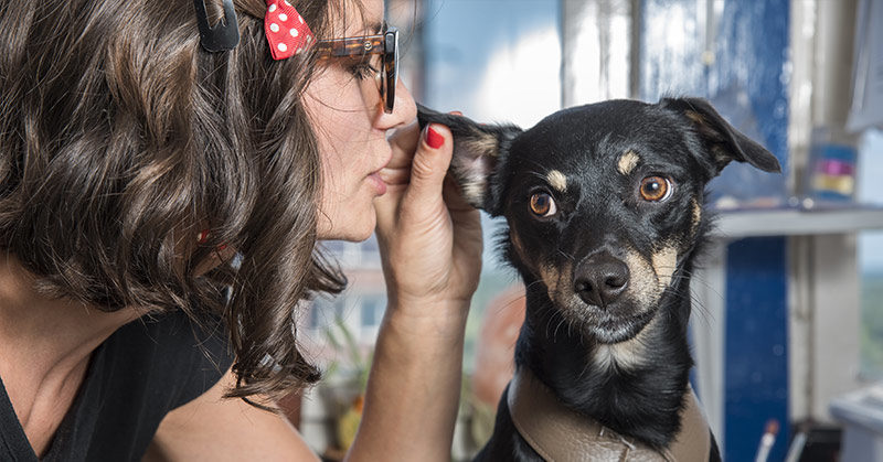 Study Finds That a Dog’s Heart Rate Jumps When You Say “I Love You” To Them