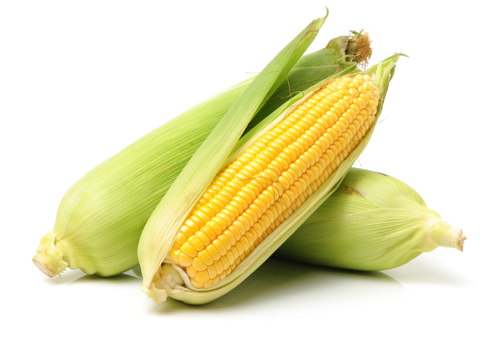 Corn on white background