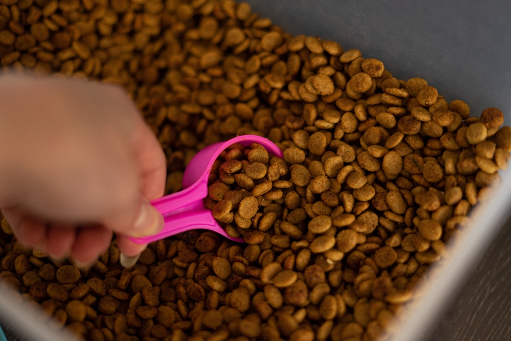 White female hand scooping up a portion of brown dog food kibble with a small bright pink measuring cup spoon from a plastic container to feed pet toy poodles