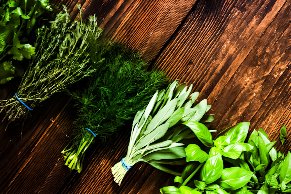 Freshly clliped herbs on wooden background, Various garden herbs on table. Basil, dill, parsley, rosemary. Flat lay, Collection of fresh garden herbs on dark granite table, top view.