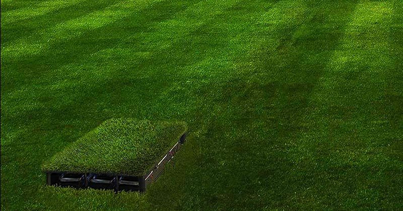 Natural Organisms in Soil Can Power Lights With This Bio Battery, Which May Be World’s Most Disruptive Technology