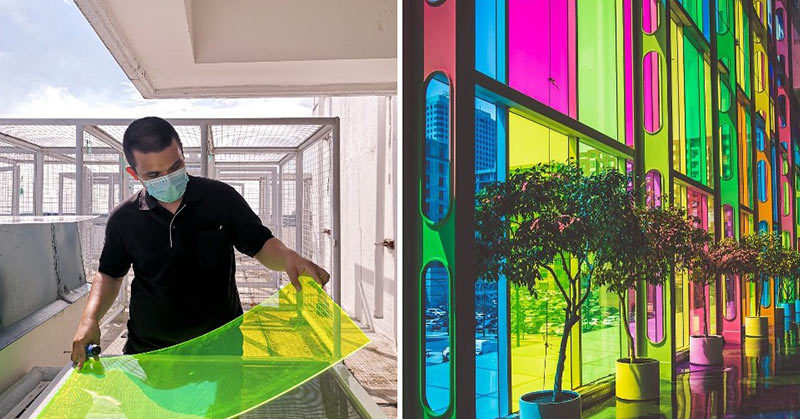 Student Invented Solar Windows Made from Rotten Vegetables