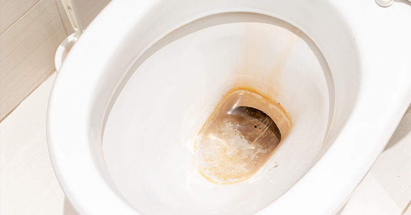 Say Goodbye to That Pesky Toilet Bowl Ring With This Hack