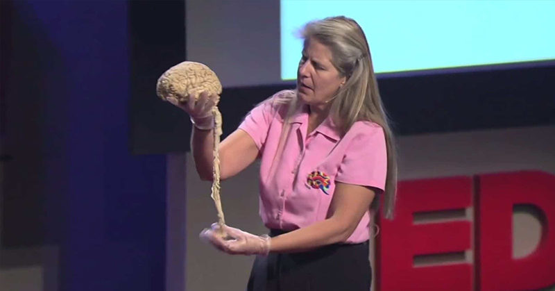 Harvard-Trained Brain Researcher Has a Stroke And Figures Out The Mystery of Life