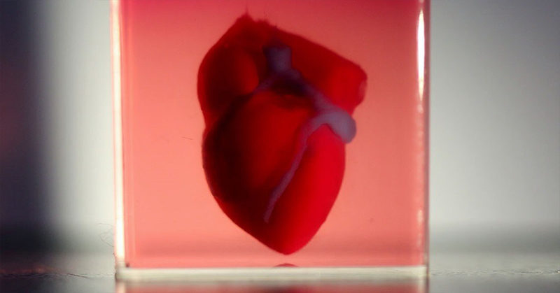 Scientists Create World’s First 3D-Printed Heart Using Patient’s Own Cells