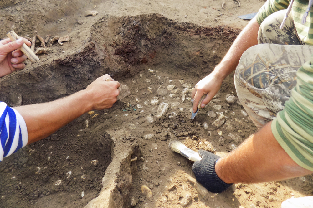Archaeological excavations. archaeologist with tools conducts research on human burial, skeleton, skull.