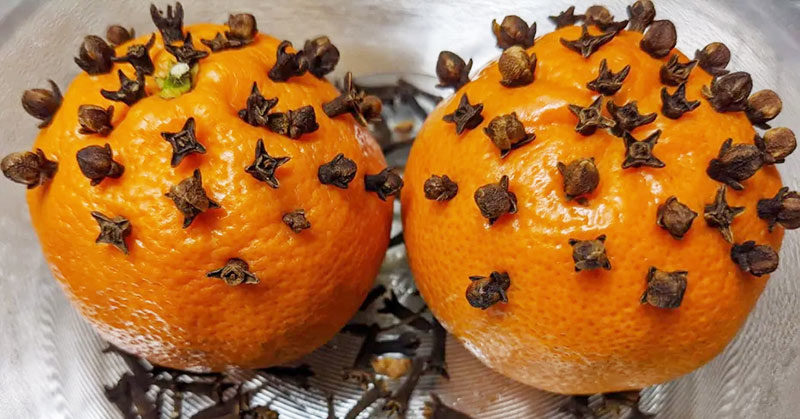 Woman put cloves in oranges, house smells awesome