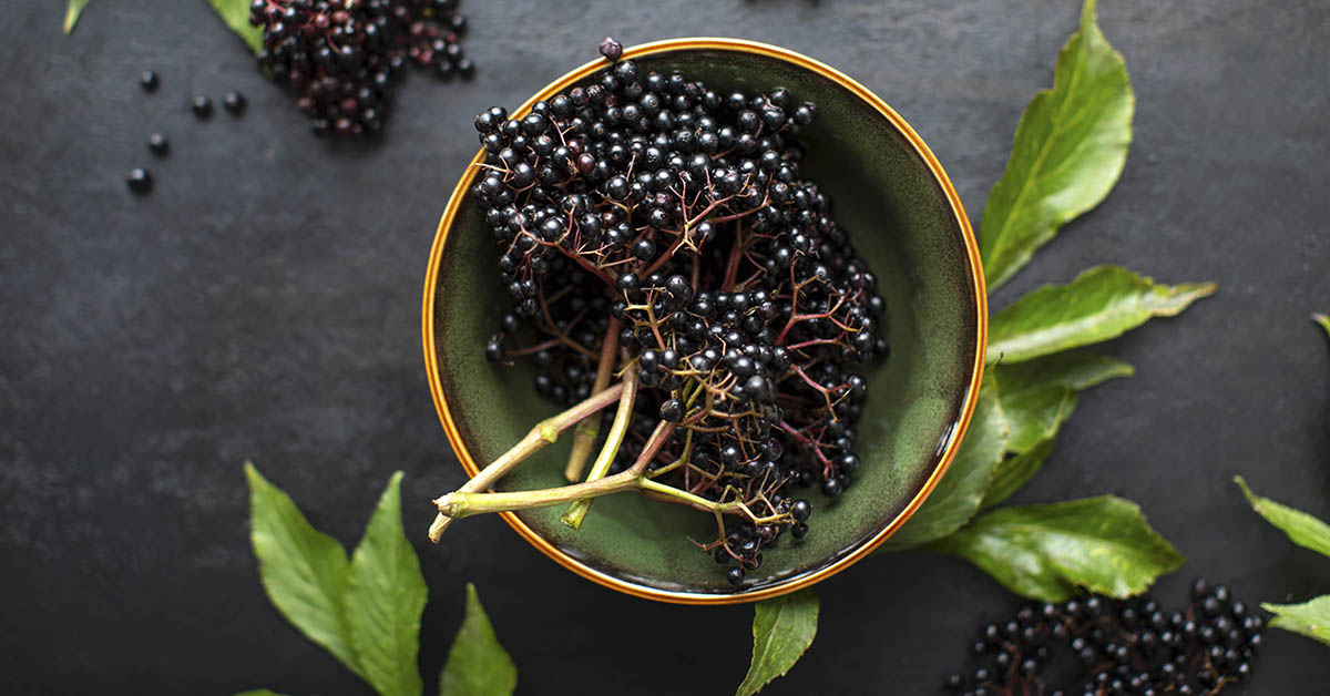 Be Ready for Winter: Make Instant Pot Elderberry Syrup In 20 Minutes