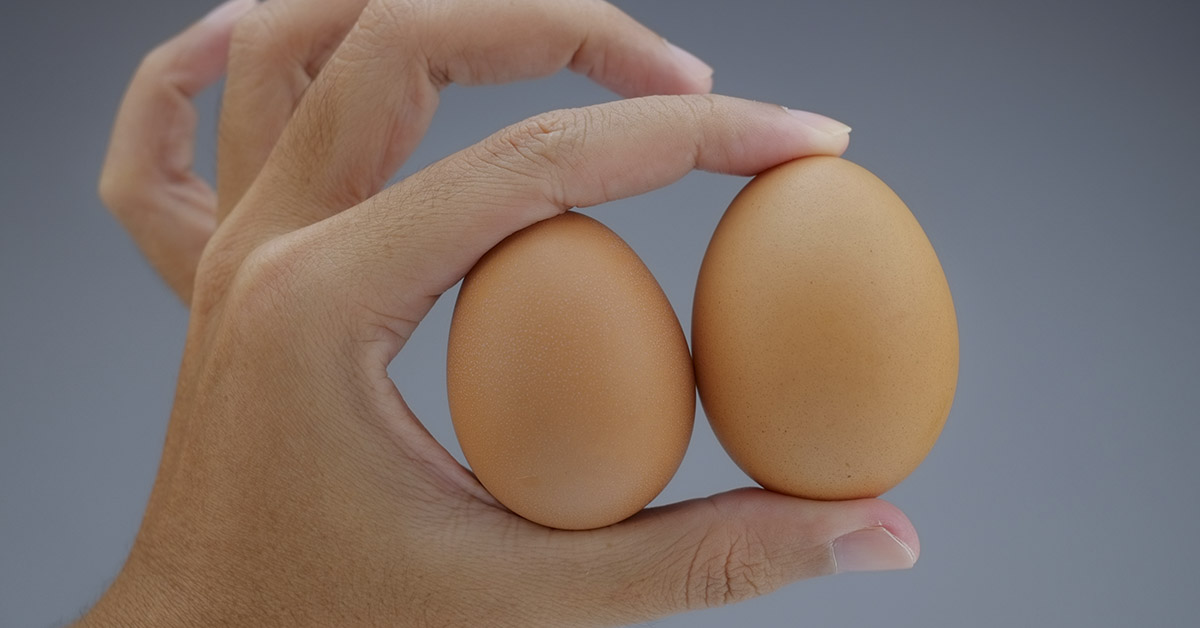 The Benefits of Eating Eggs (Even Every Day)