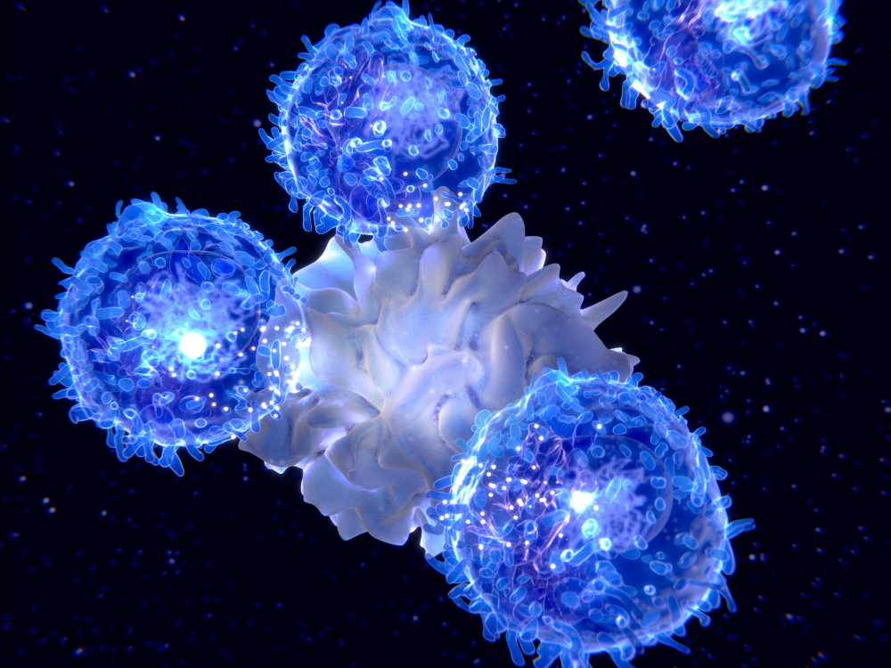 Dendritic cell presenting an antigen to T-lymphocytes. The antigen is a peptide from a tumor cell, bacteria or virus. They present antigens to lymphocytes activating an immune response. 3d rendering