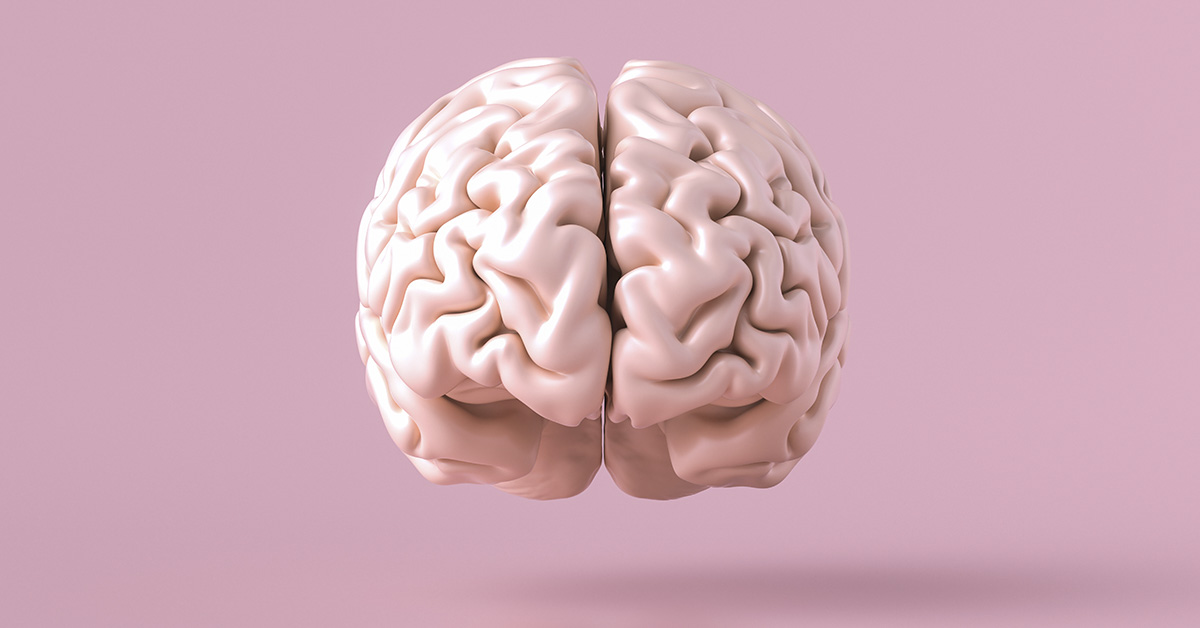 Researchers find that brains with more vitamin D function better