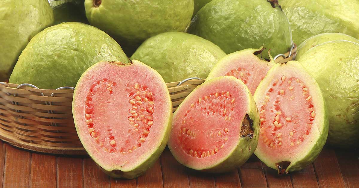 6 Reasons Why Guava Should Be a Part of Your Day