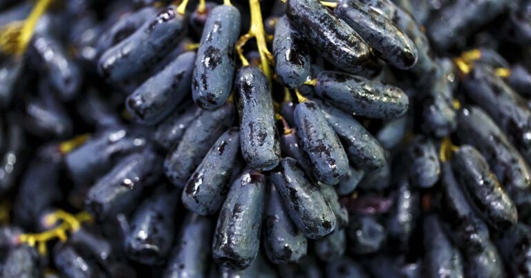 What Are Moon Drop Grapes? - Featured image