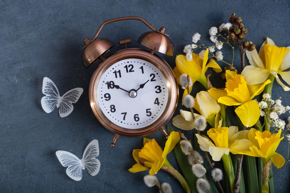 Spring time, daylight savings concept, spring forward concept. Alarm clock with spring flowers.
