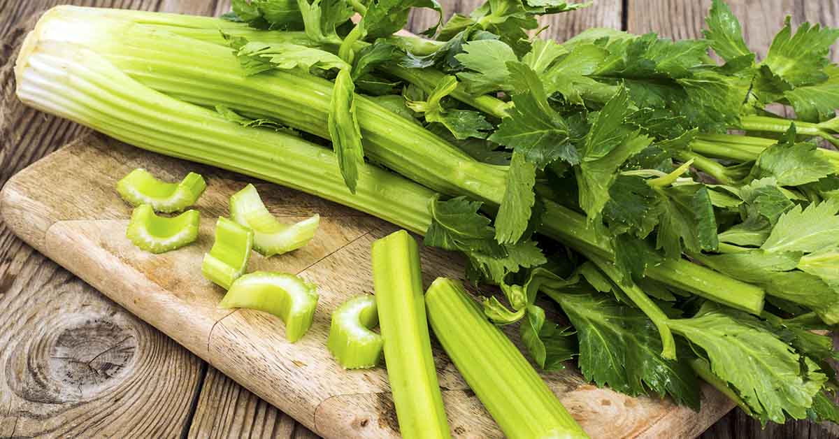 8 Benefits of Including Celery in Your Diet