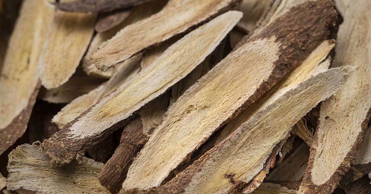 8 Benefits of Astragalus According to Scientific Studies