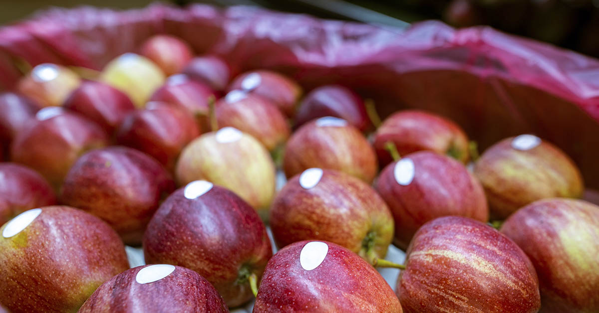Things you need to know when you see ‘Apeel’ on your produce at the grocery stores