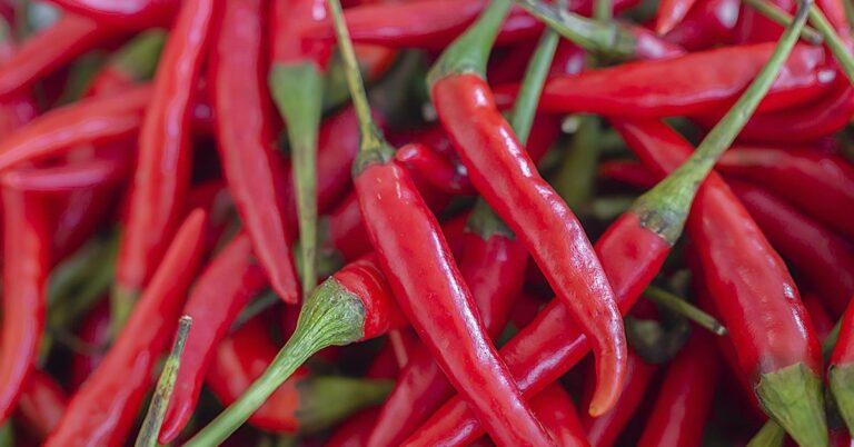 6 Health Benefits of Cayenne Pepper - Featured image