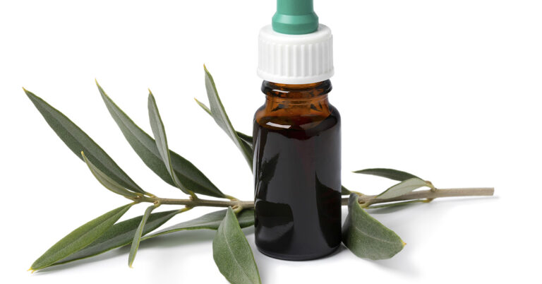 This Leaf Extract has 400 Times More Antioxidant Power Than Vitamin C - Featured image