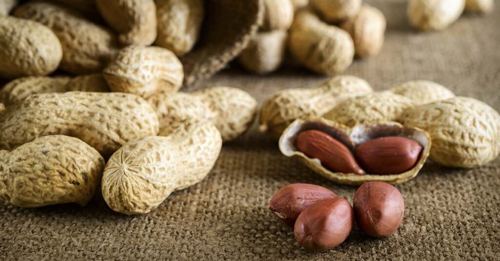 Interesting Fact: Peanuts Aren’t Technically Nuts So What Are They? - Featured image