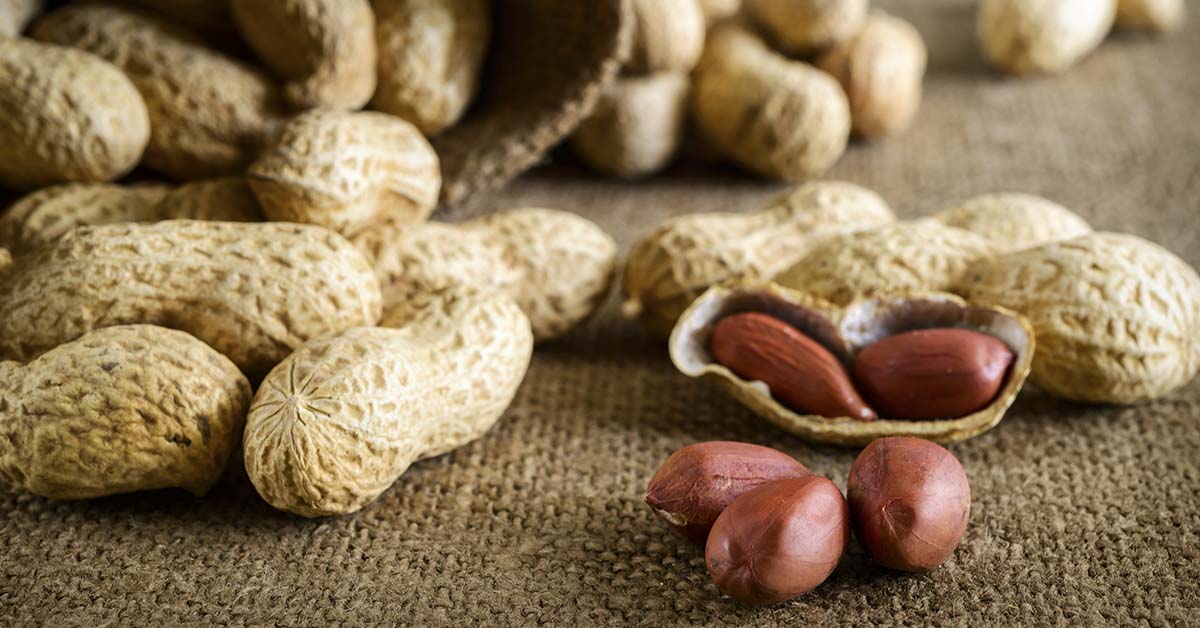 Interesting Fact: Peanuts Aren’t Technically Nuts So What Are They?