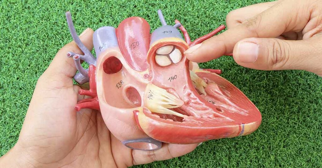 8 Surprising Signs of Heart Valve Disease - Featured image